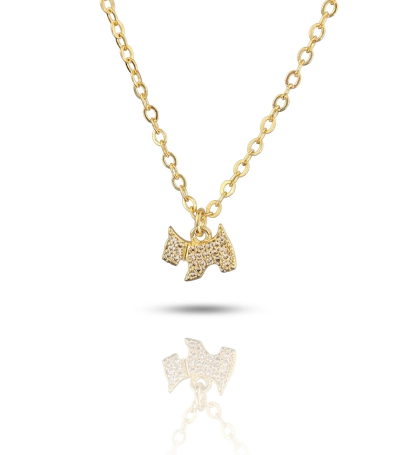 Collar perro 🐶