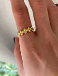 ANILLO A3